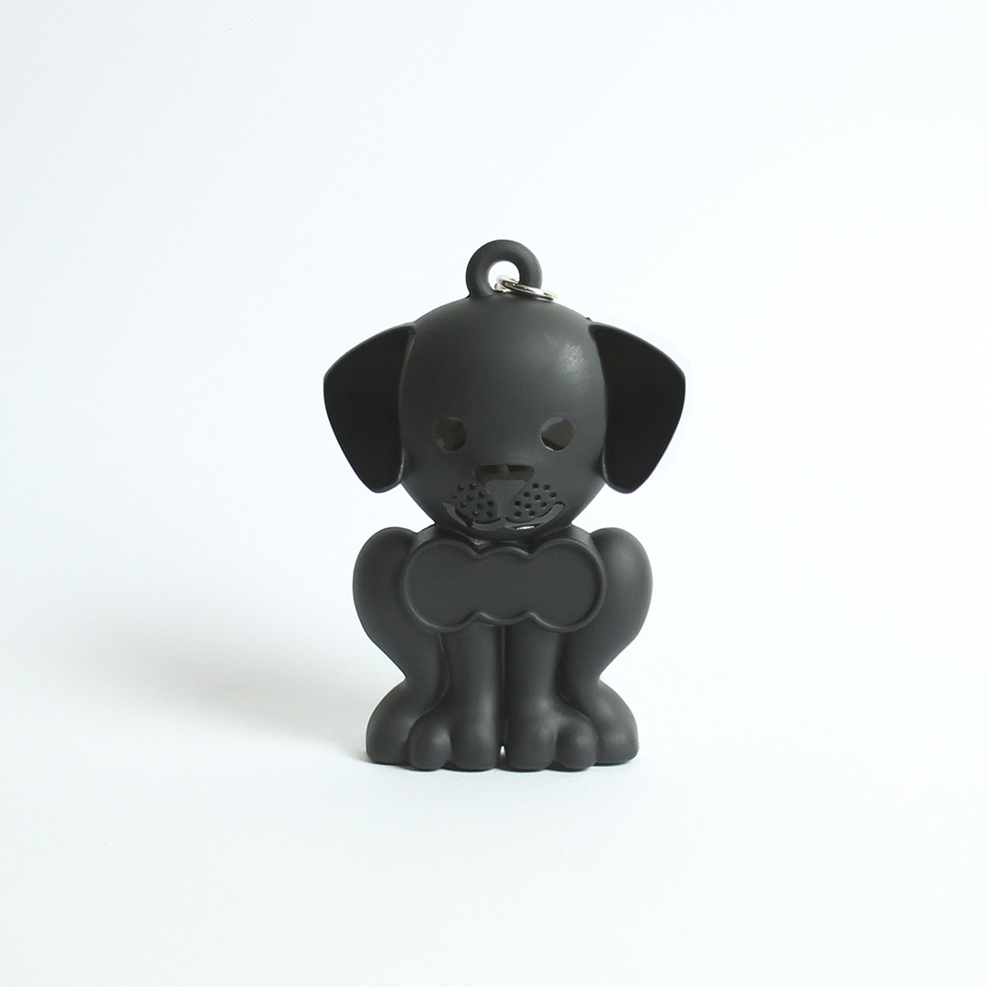Chaveirinho Preto Canino